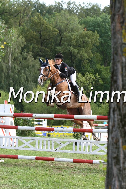 109L0524_Jamaika_Spring S.JPG